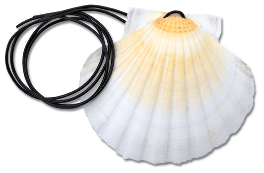 Shell with leather strap