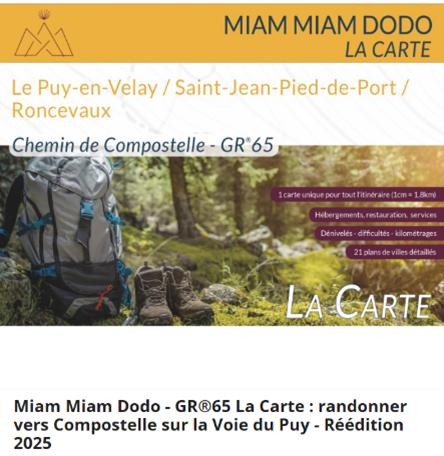 Carte Le Puy-en-Velay à Roncevaux